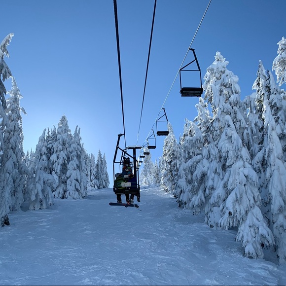 Meet your Posher, Abigail - Picture 1 of 1